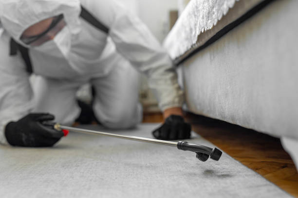 Professional Cockroach Control technician working in Bethalto, IL