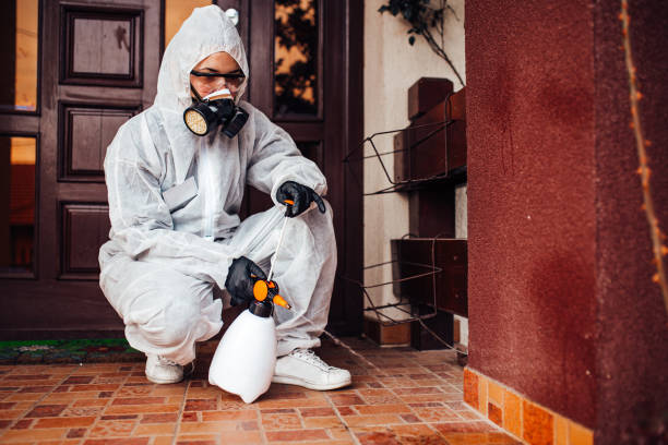 Reliable Cockroach Control contractor in Bethalto, IL by Nex Pest Control
